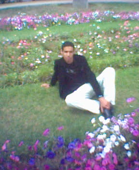 toujour moi